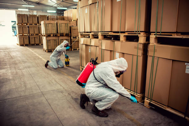 Best Flea Control Services  in West Bountiful, UT
