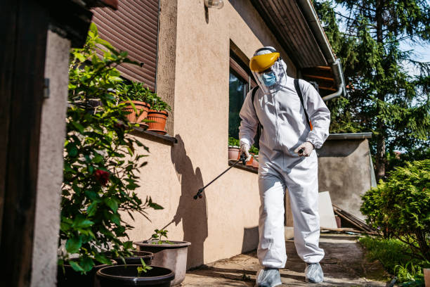 Best Emergency Pest Control  in West Bountiful, UT