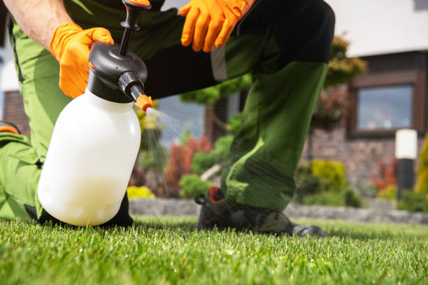 Best Pest Control Near Me  in West Bountiful, UT