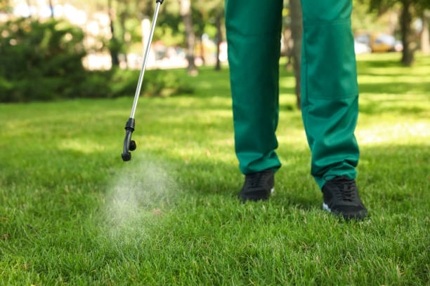 Best Residential Pest Control  in West Bountiful, UT