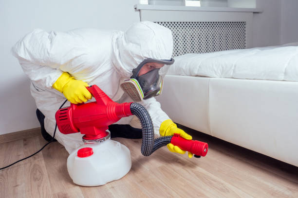 Best Pest Control Near Me  in West Bountiful, UT