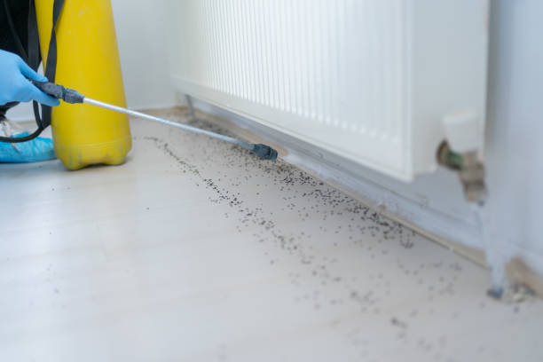 Best Wildlife Control Services  in West Bountiful, UT