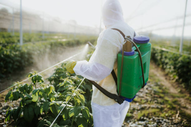 Best Best Pest Control Companies  in West Bountiful, UT